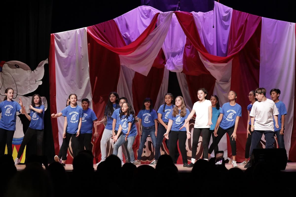 Variety Show 2019 