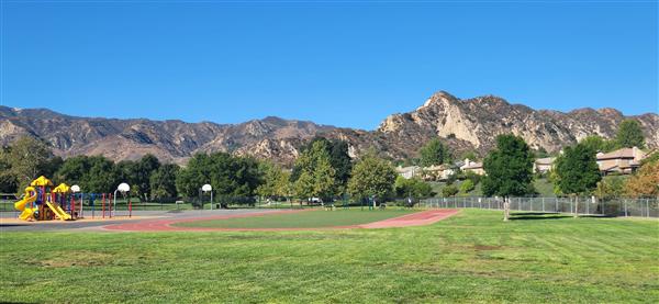 Pico Field